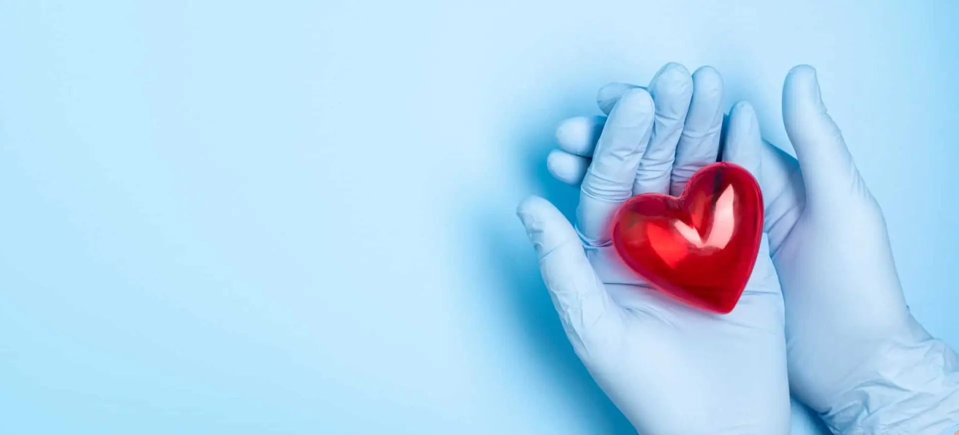 Image of hands holding a red class heart