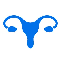 obgyn