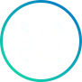 virtual scribes