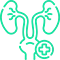 Kidney - Urology Medical Billing Services