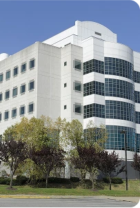 Ongoing credentialing and re-credentialing management illustration